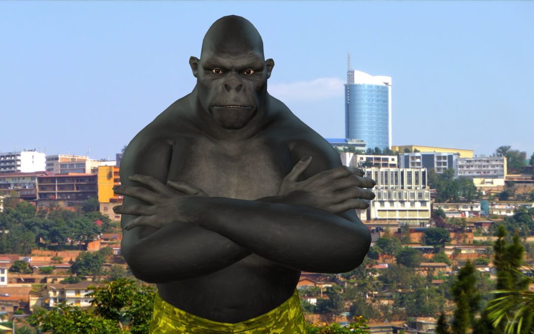 THE FORMATION OF RWANDA GORILLA PARTY