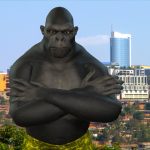 Rwanda Gorilla Party